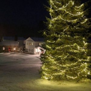 35459622_216183319002271_6154693911899013120_n